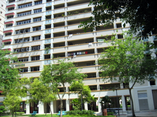 Blk 502 Pasir Ris Street 52 (Pasir Ris), HDB Executive #133922